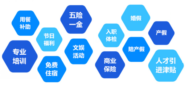 提供全面、系統(tǒng)、專業(yè)的培訓(xùn)和廣闊的<br>職業(yè)發(fā)展空間和提升機(jī)會(huì)